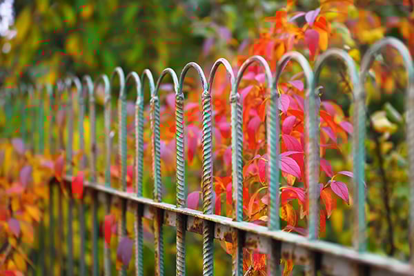 garden-ga