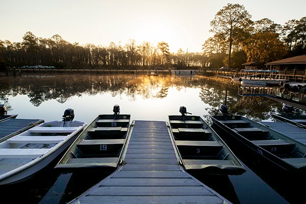 okefenokee