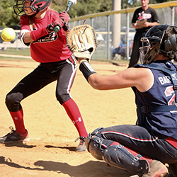 img_baseball_250