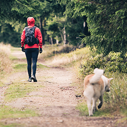 img_hikingdog_250